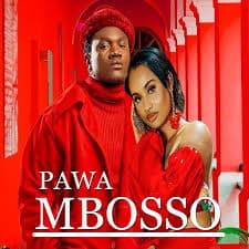 Cover art for Pawa